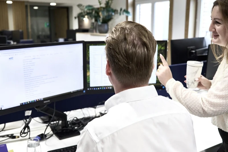 Colleagues working together at a desktop computer workstation